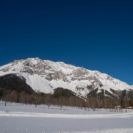 Appartement Adlernest à Ramsau am Dachstein Extérieur photo